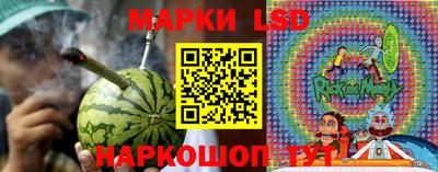 стаф Моздок