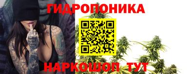 стаф Моздок
