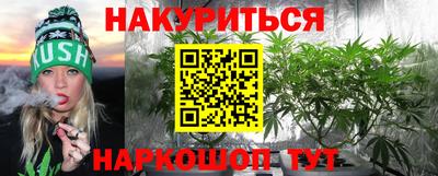 стаф Моздок