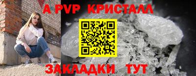 стаф Моздок